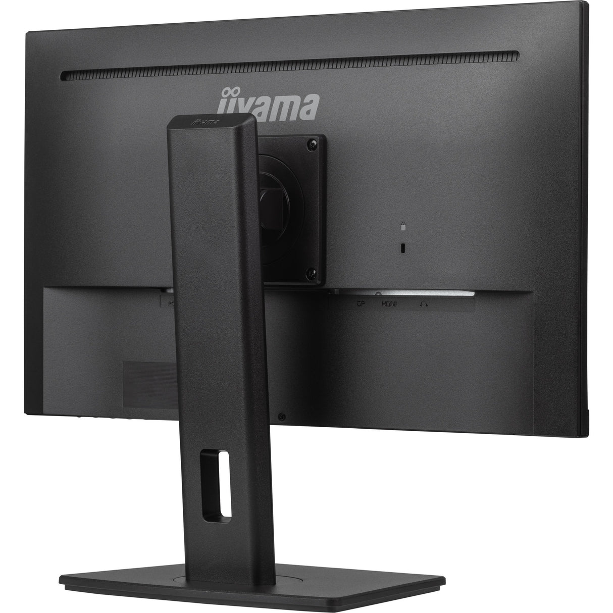 Iiyama prolite xub2491h-b1 23.8 skærm (sort, hdmi, skærmport)