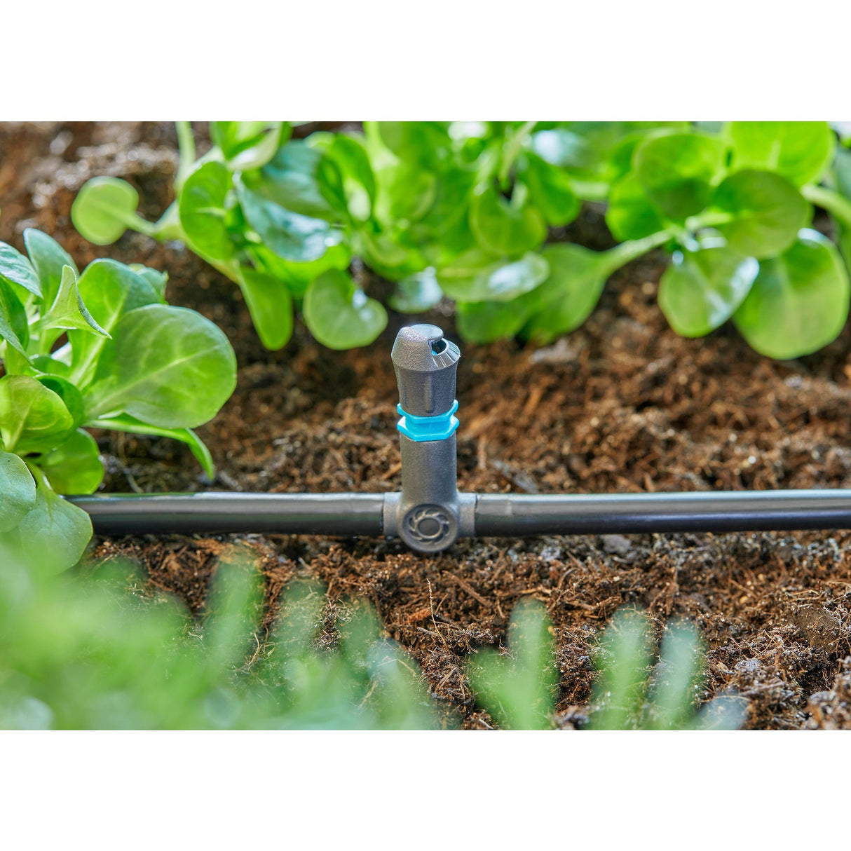 Gardena T-stykke til sprinklere endedrypper 4,6 mm (3 16 ) tilslutning (mørkegrå, 5 stk.)