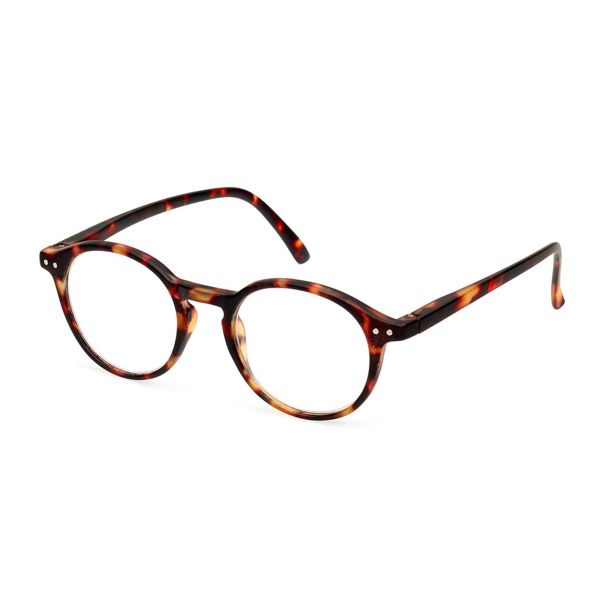Spectrum læsebriller Havana moderne rund assorteret