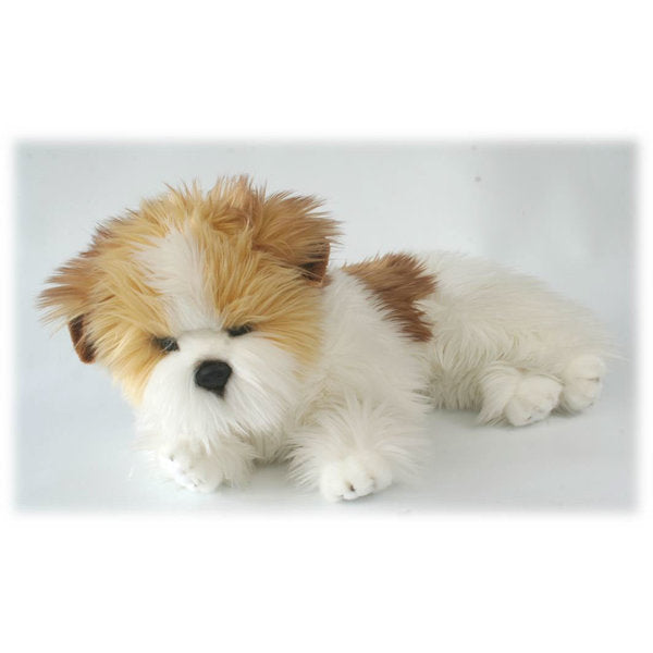 Liggende belgisk terrier 40 cm