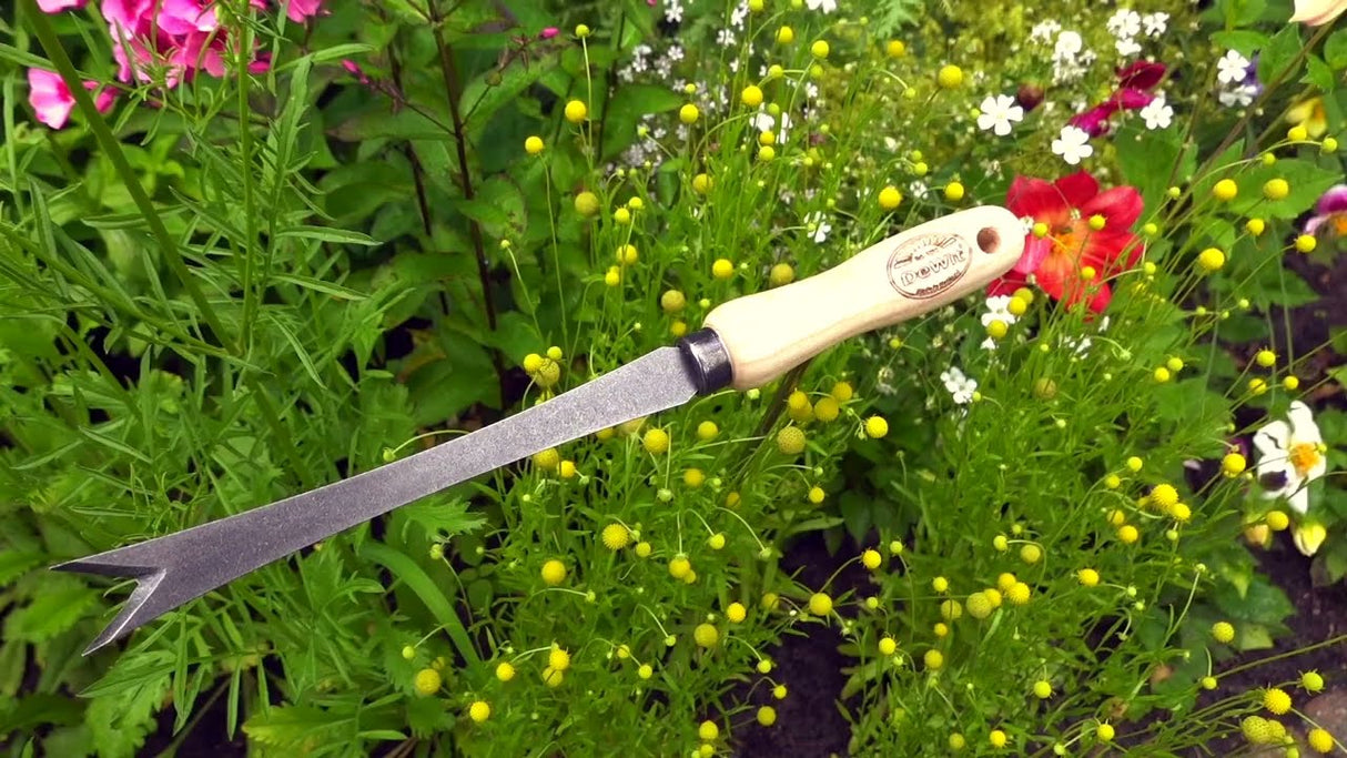 De hvide produkter økologisk mælkebøtteskærer ask håndtag 14cm dewhite
