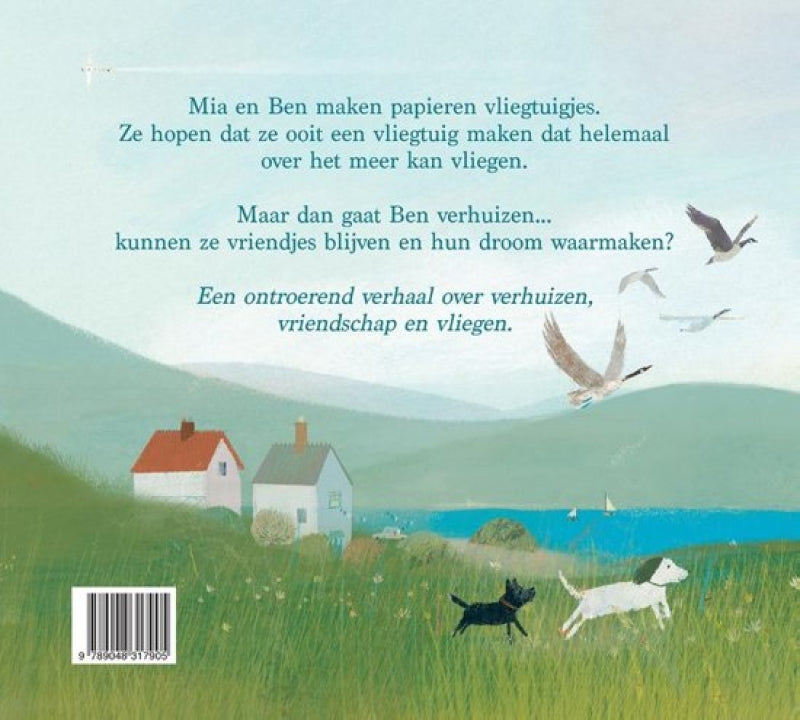 Veltman papirfly