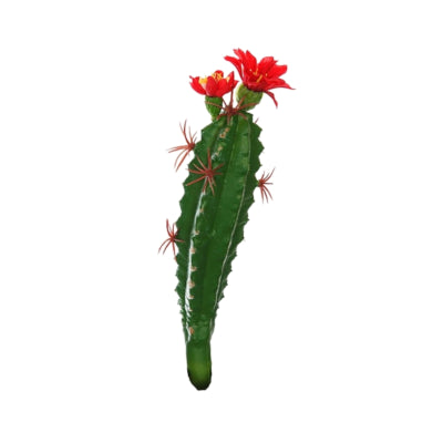 Kaktus med blomst rød grøn 19 cm | 48 stk