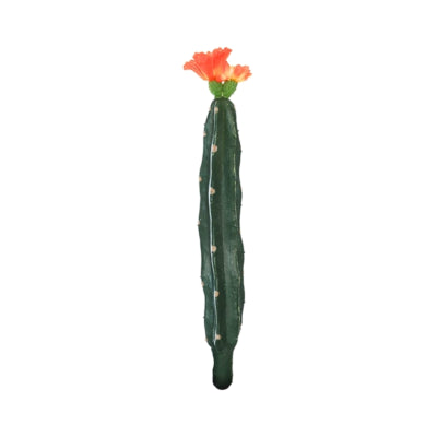 Kaktus med blomst orange grøn 23 cm | 24 stk