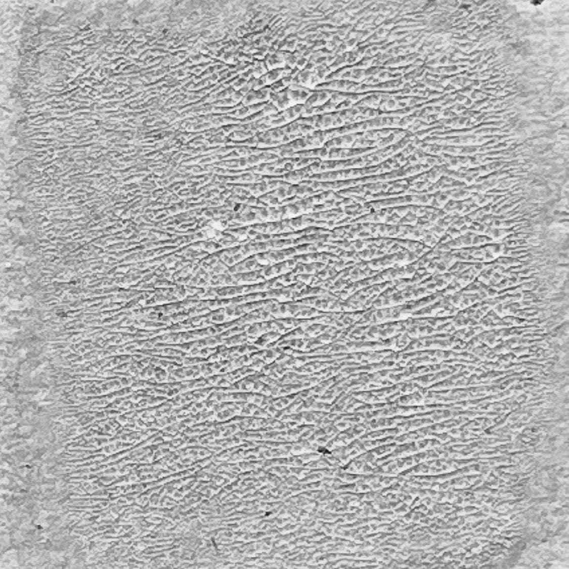 Ranger ink ranger • tim holtz distress crackle paint gennemskinnelig
