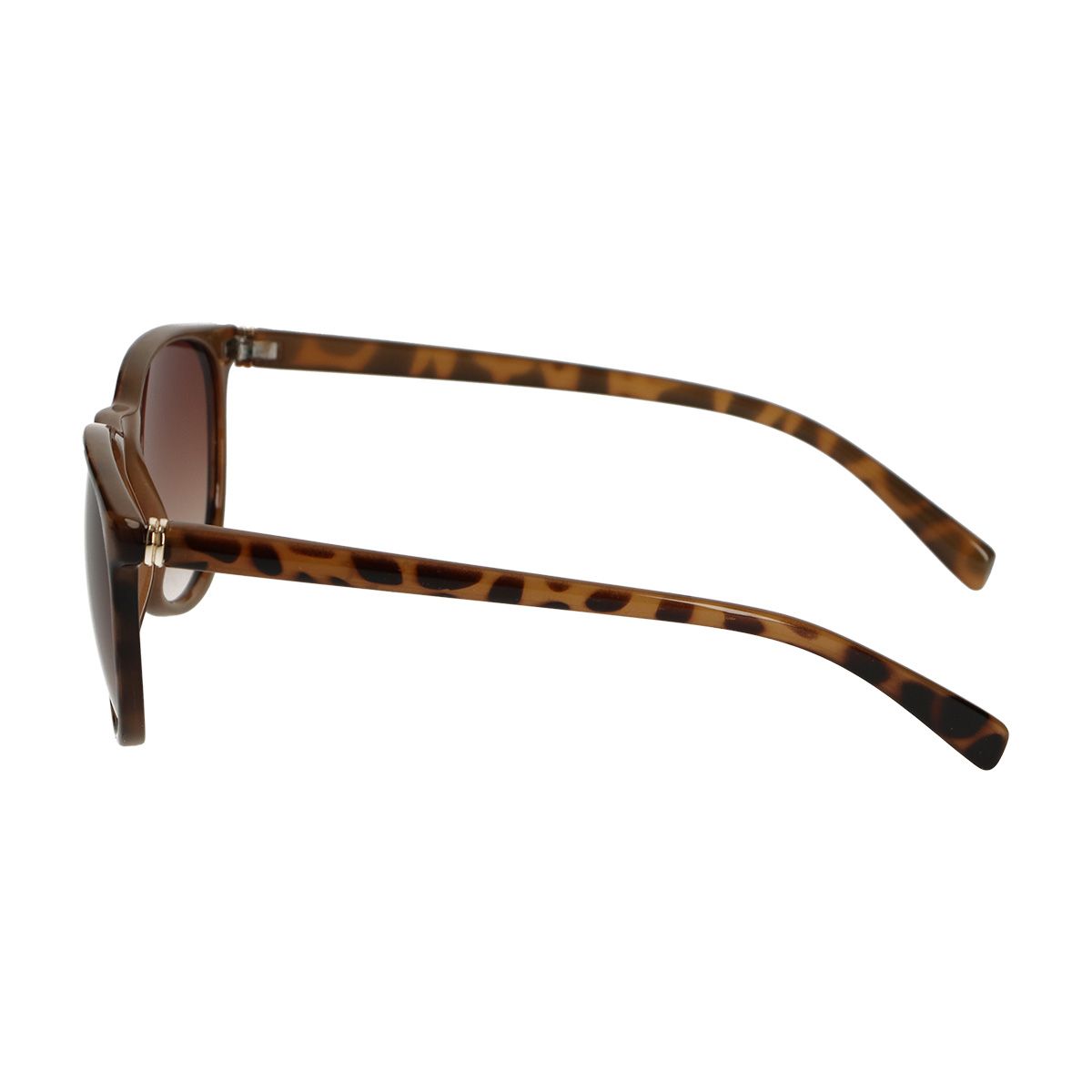 Spectrum solbriller leopard gradient brune damer