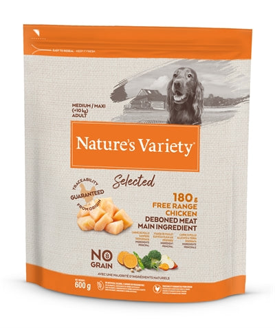 Natures sort valgt voksen medium fri række kylling