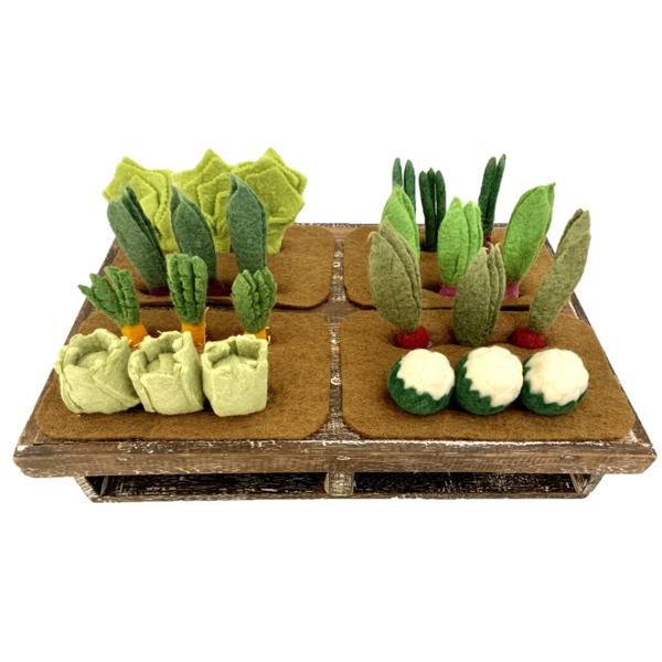 Papoose Toys Papoose Toys Grow-A-Garden 24pc