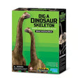 4m - kidzlabs - grav din brachiosaurus op