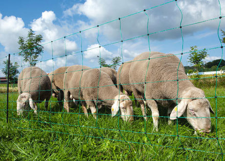 Ako producten schapennet ovinet groen 108cm x 50m dubbele pen