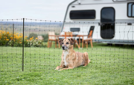 Ako campingnet 20 meter 80cm grøn dobbeltstift