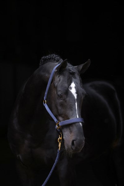 Abi produkter topline grime blå 1 pony