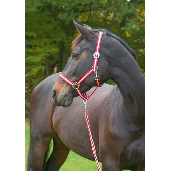 Abi produkter flodhest grime bordeaux beige 1 pony