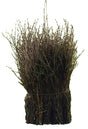 Eurotools fejekost brun 75cm
