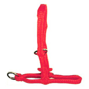Produkter polyhalter orange ekstra stor