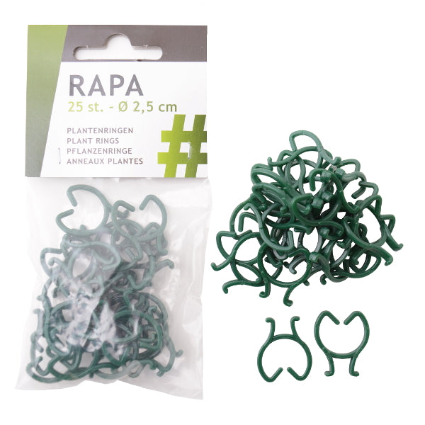 Produkter rapa planteringe 25 stk