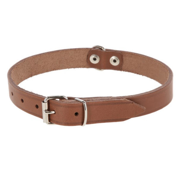 Produkter hundehalsbånd læder 12mm natur