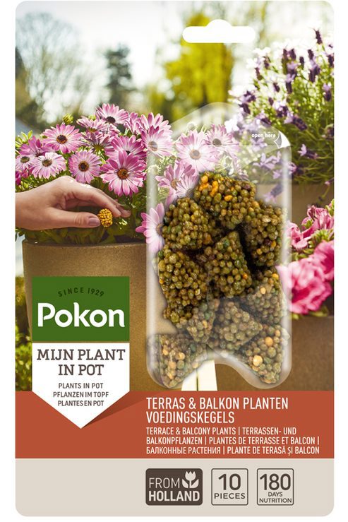 Pokon produkter terrasse altan planter ernæring lange kogler 10 stk