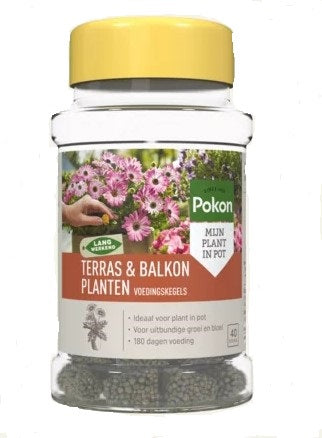 Pokon produkter terrasse altan planter ernæringskegler 40 stk