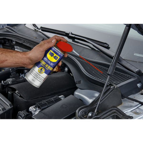WD40 Specialist® High -Quality Silicone Spray 250 ml