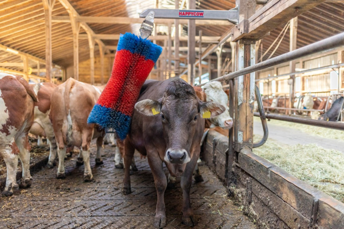 Produkter happycow kvæg børste freemaxi