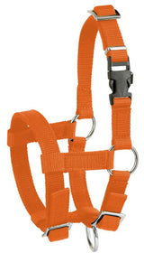 Produkter alpaca grime orange