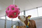 Produkter mad legebold pink