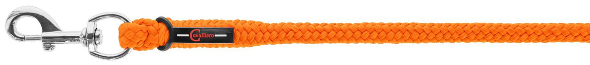 Produktproduktion linje med karabinhage flodhest pe orange