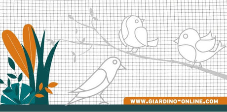 Giardino producten gaas gelast verzinkt 19 1 05 0 51m x 5m