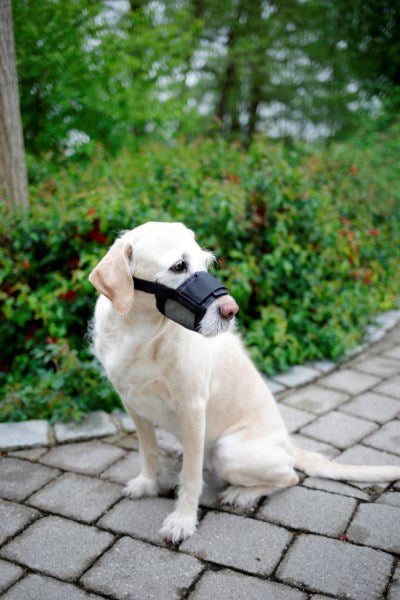 Produkter nylon næseparti hund str. XL sort