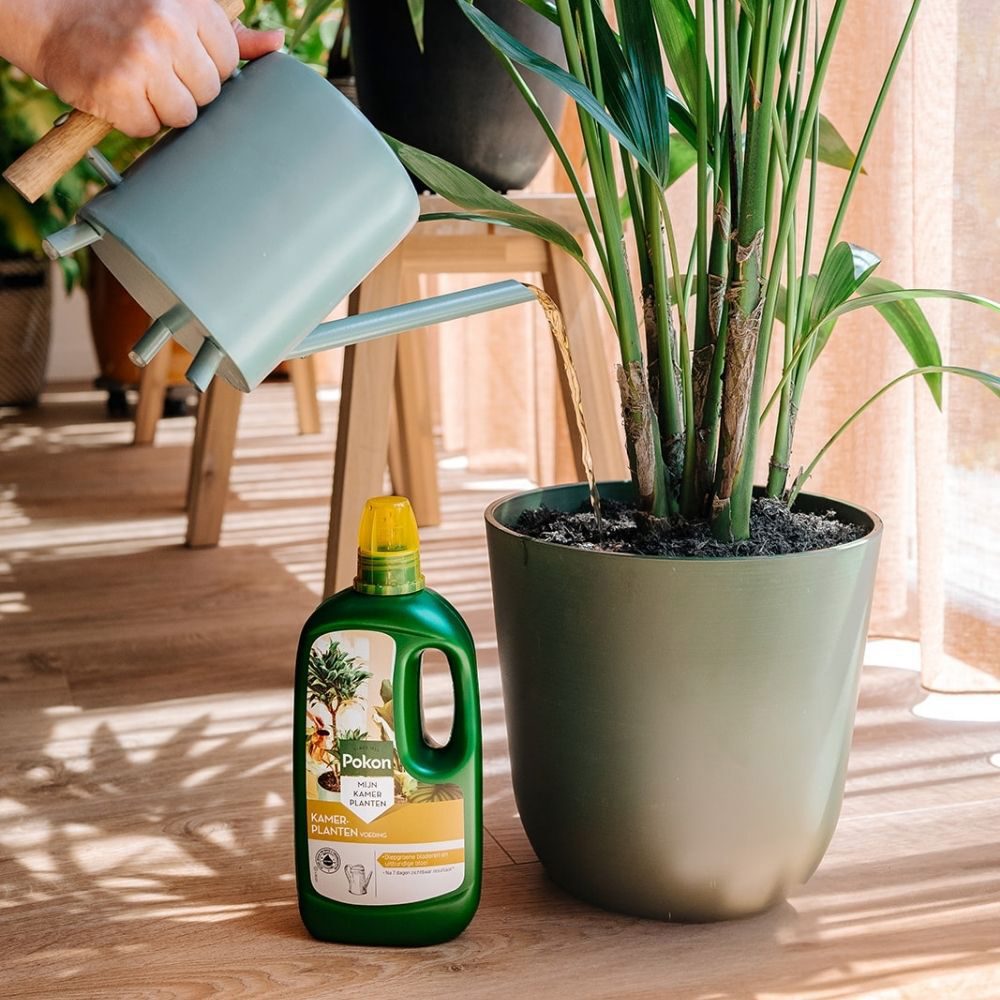 Pokon produkter stueplante mad 1l