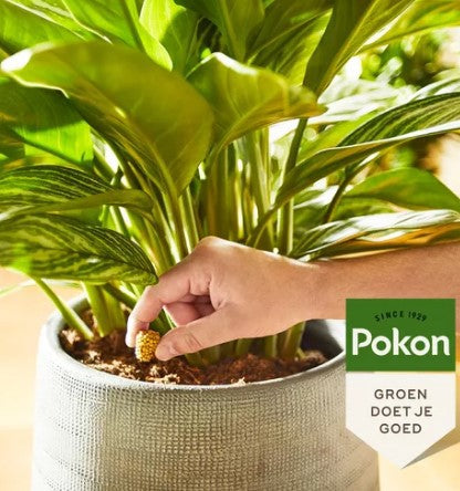 Pokon produkter terrasse altan planter ernæringskegler 10 stk
