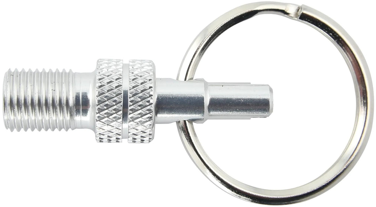 Af, Schulz Valiela PADTER MINI SV DV -> AV SILVER