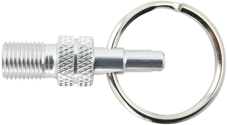 Af, Schulz Valiela PADTER MINI SV DV -> AV SILVER