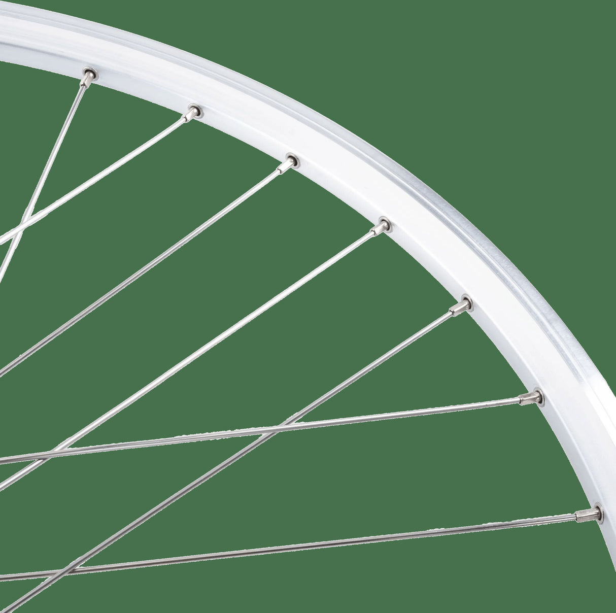 Contec forhjul classic z19 + shimano dh-c3000 fr.hjul 28 2,00 sst