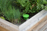 Sneglefælde snegleskål 15cm