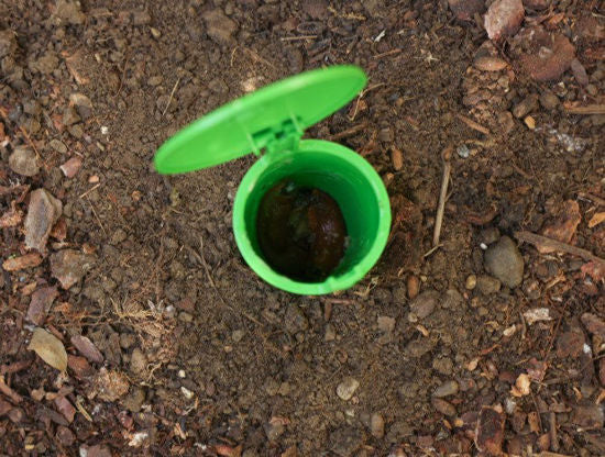 Sneglefælde snegleskål 15cm