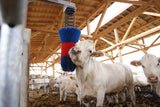Produkter happycow kvæg børste flexiswing