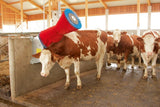 Produkter happycow ko børste uno vandret