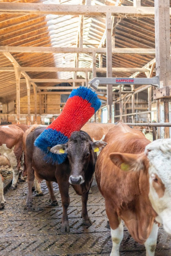 Produkter happycow kvæg børste freemaxi