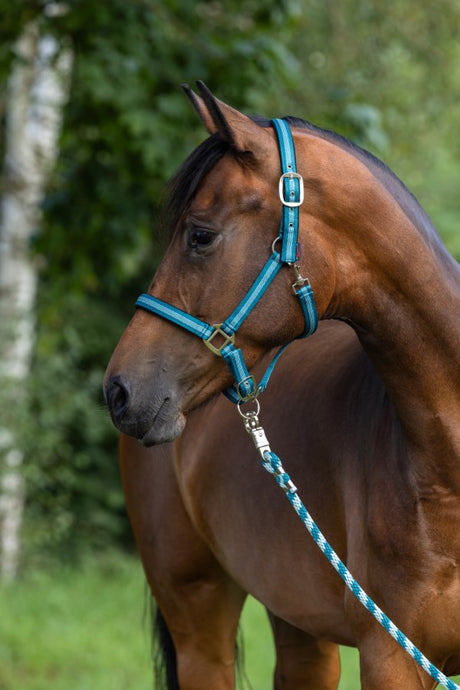 Abi produkter blyreb mustang vognkrog 200cm turkis