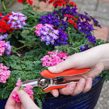 Connex produkter trimmer høstsaks mini
