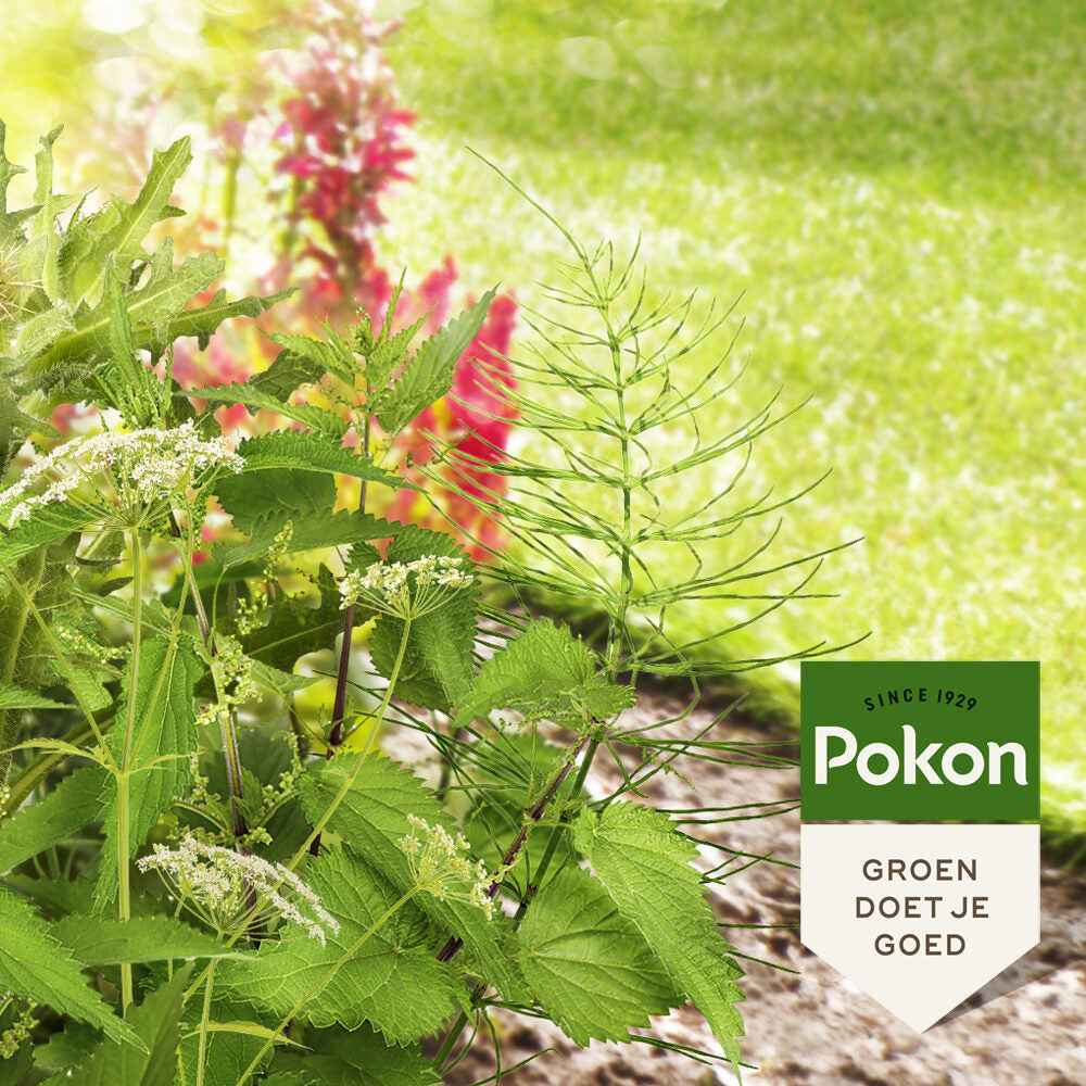 Pokon produkter mod genstridigt ukrudt koncentrat 100ml weedex