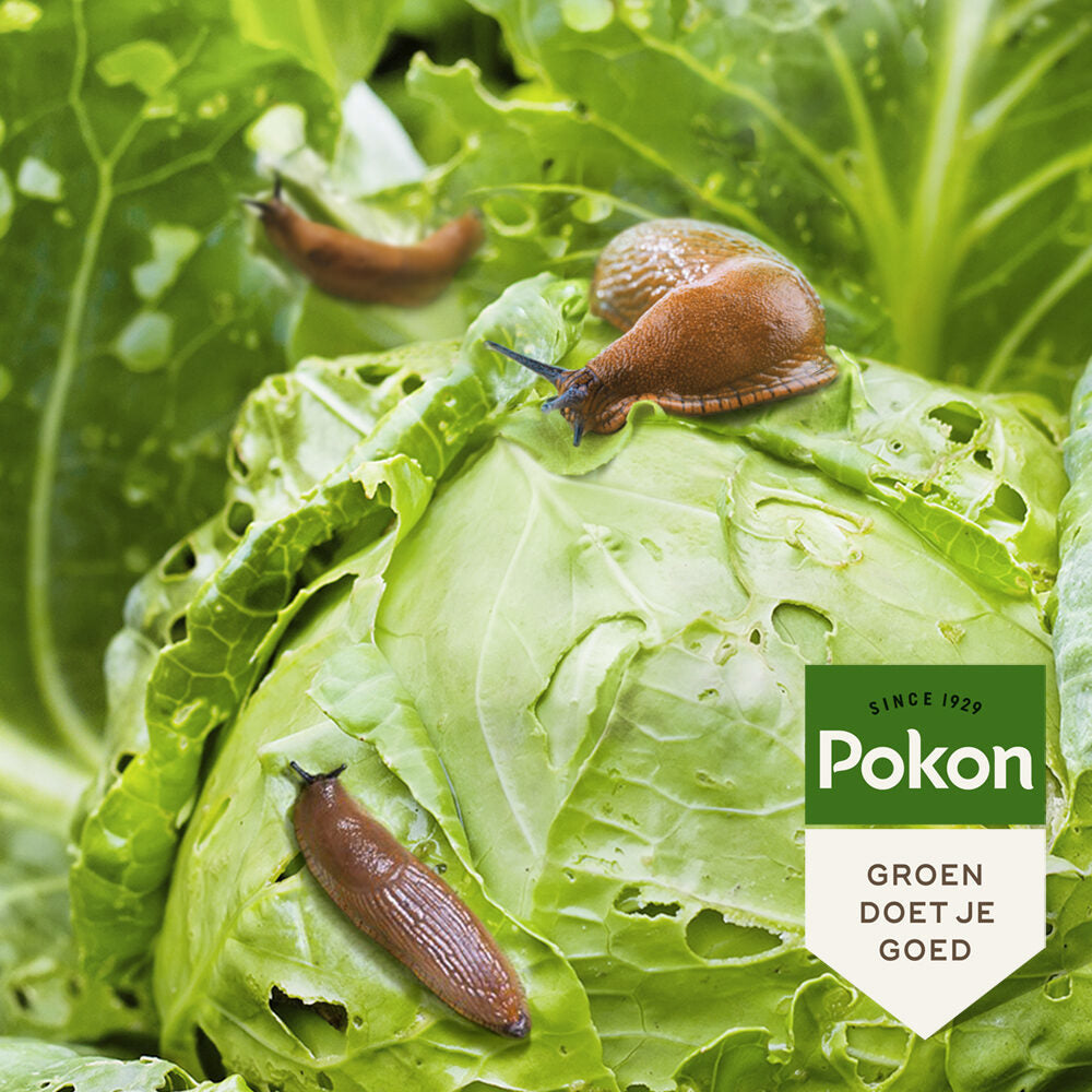 Pokon produkter bio mod snegle granulat 900gr
