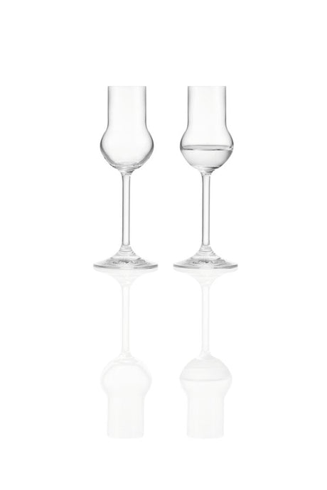 Montana rene likørglas 6 stk 60ml