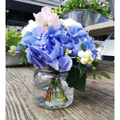 Hakbijl glas brussel vase glas med motiv ø10xh10,5cm