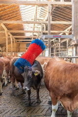 Produkter happycow kvæg børste freemaxi