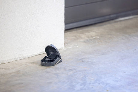 Produkter rottefælde plast cit ratstop