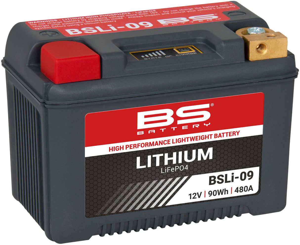 BS-batteri lifepo4 batteri BSLI-09 . batteri li09 bs lithium