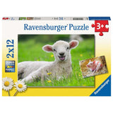 Ravensburger puslespil husdyr 2x12 brikker